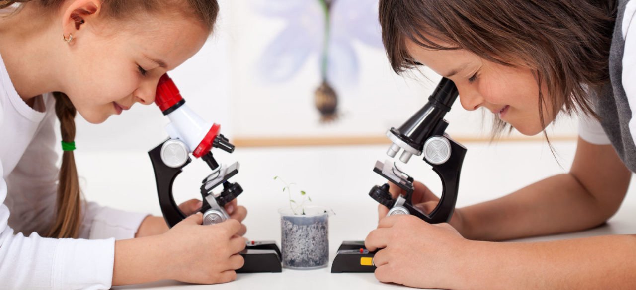 микроскопы детские в Курске